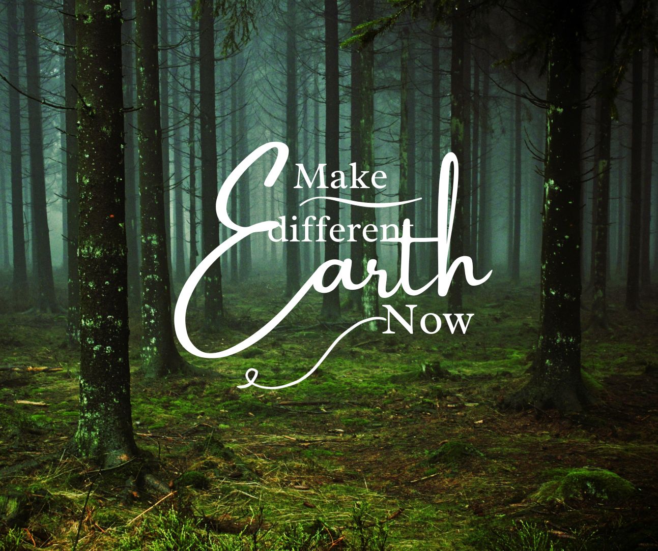 How to create a sustainable lifestyle with small actions and reduce your environmental footprint?